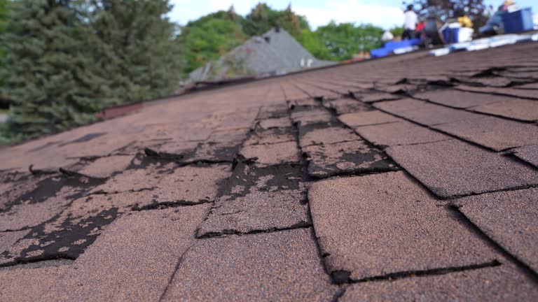 Best Asphalt Shingle Roofing  in Maumelle, AR