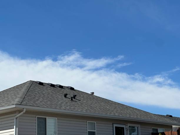Professional Roofing Services in Maumelle, AR
